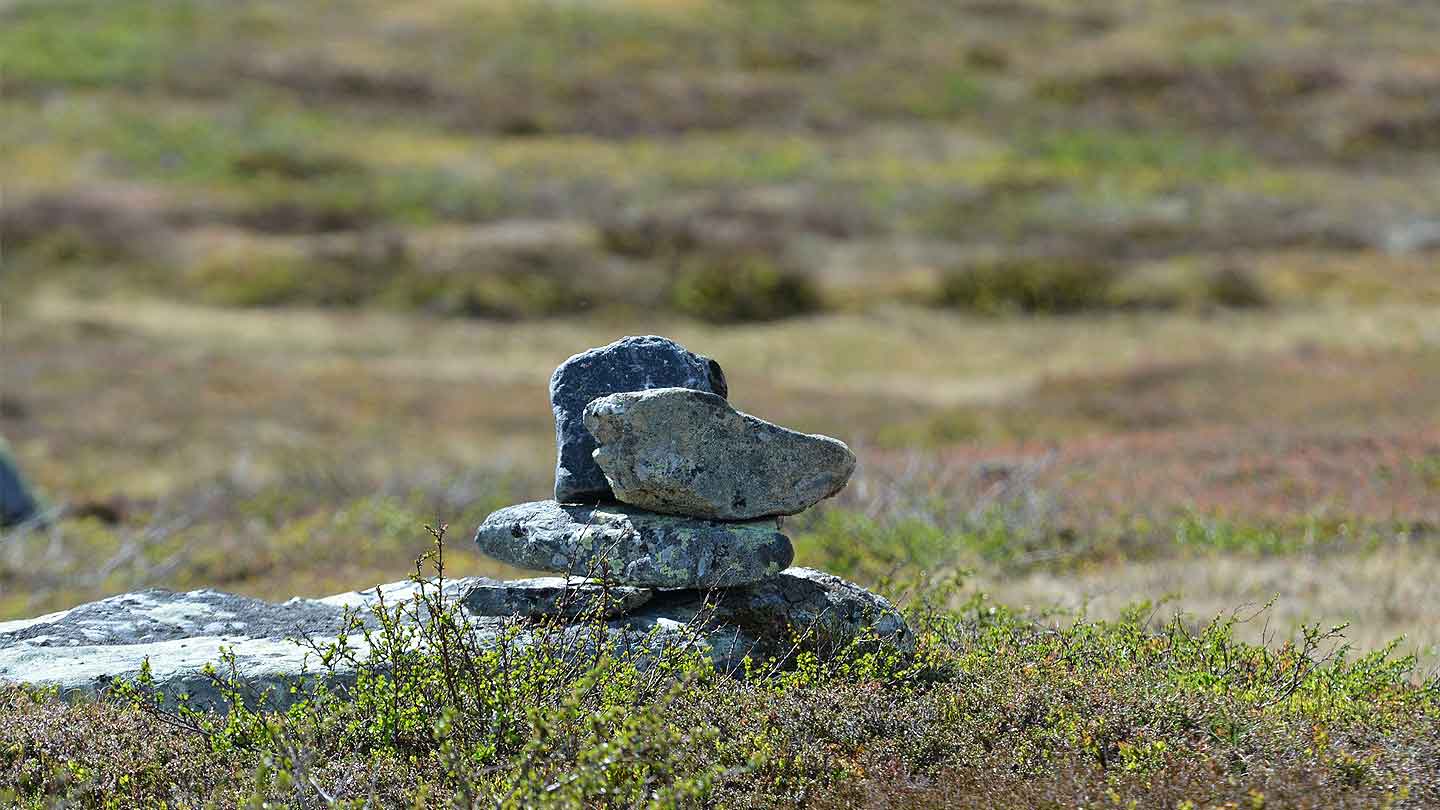 S&auml;len sommar