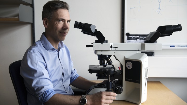 Bakgrund: Ett reportage till Barncancerfondens webb om ett forskningsprojekt som g&aring;r ut p&aring; att g&ouml;ra en total kartl&auml;ggning av cancersjuka barns arvsmassa.BCF finansierar projektet med 15 MKR.Reportaget p&aring; forskaren David Gisselsson Nord p&aring; BMC i Lund.P&aring; bild: Forskaren David Gisselsson vid sitt mikroskop p&aring; hans kontor i Lund.Fotograf : Johan B&auml;vmanUppdrag : Carl Hjelm / OTW